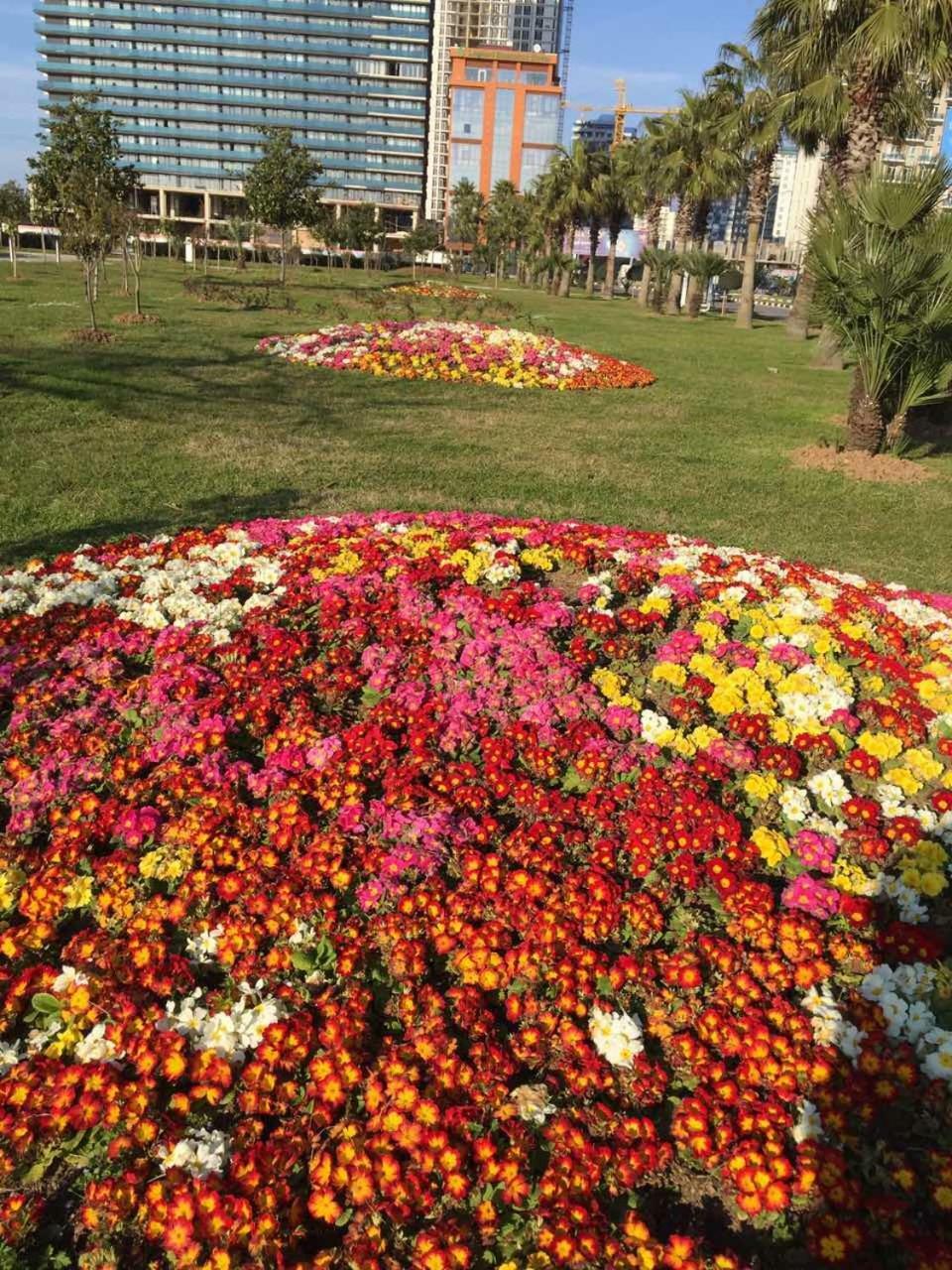 Бежевые Апартаменты Batumi Kültér fotó